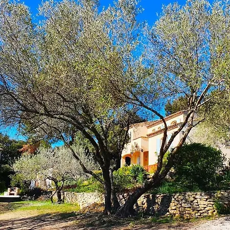 L'oliveraie Des Amoureux Willa Congenies